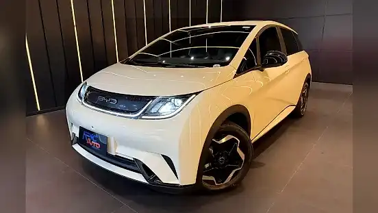 Foto de um byd dolphin
