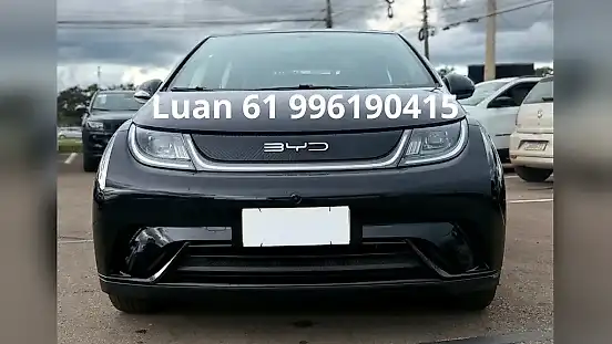 Foto de um byd dolphin