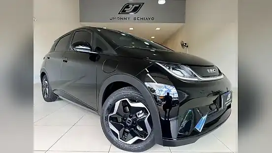 Foto de um byd dolphin