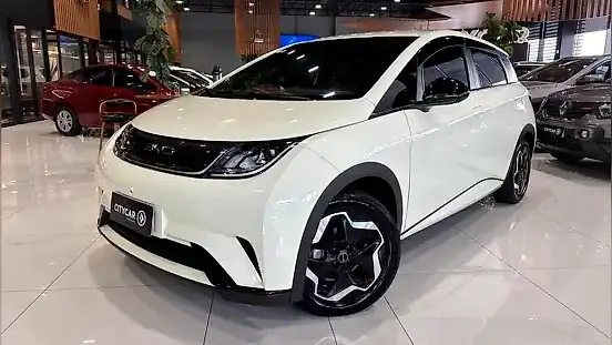 Foto de um byd dolphin