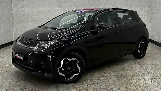 Foto de um byd dolphin