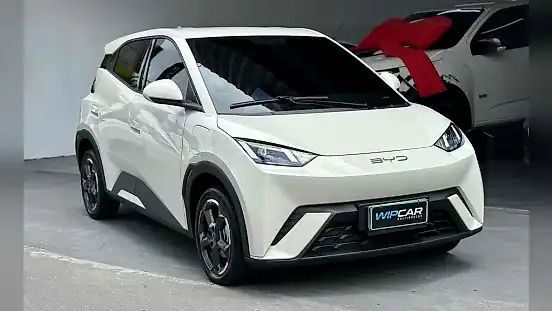 Foto de um byd dolphin