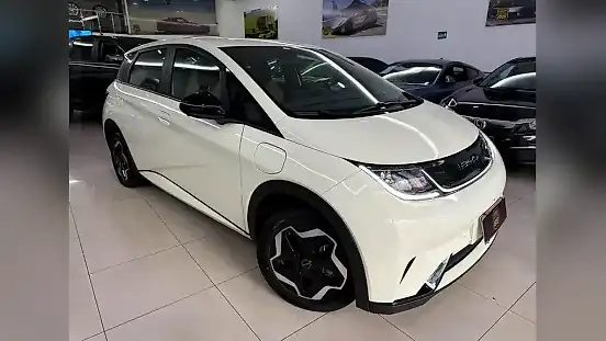 Foto de um byd dolphin