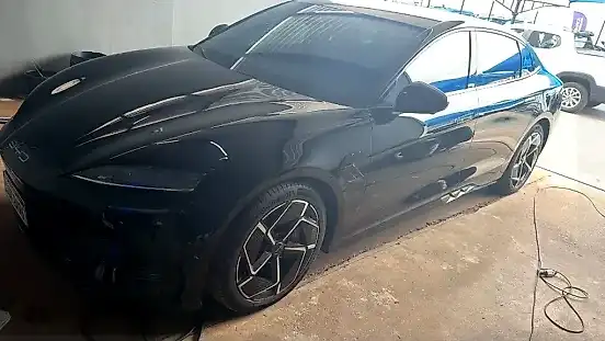 Foto de um byd seal