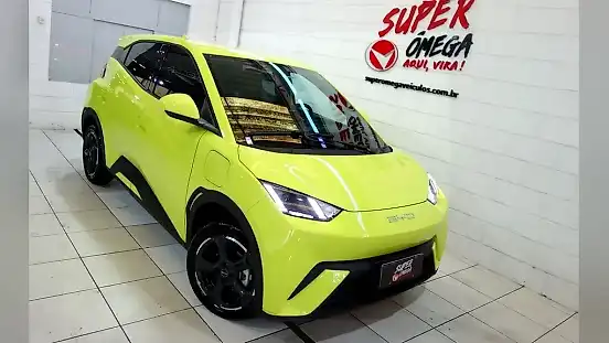 Foto de um byd dolphin mini