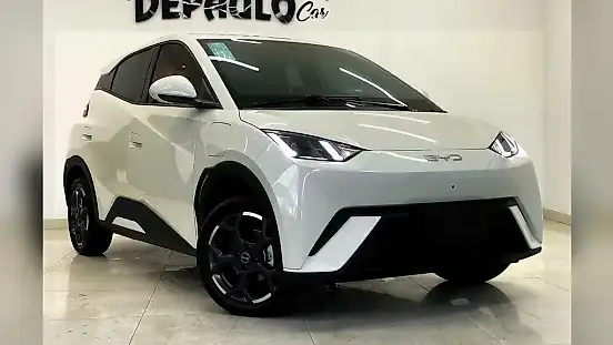 Foto de um byd dolphin mini