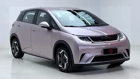 Foto de um byd dolphin