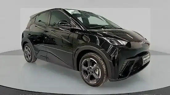 Foto de um byd dolphin mini