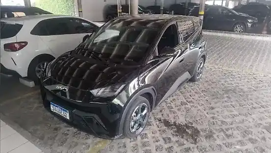 Foto de um byd dolphin mini