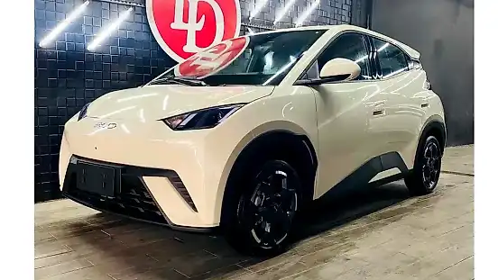 Foto de um byd dolphin mini