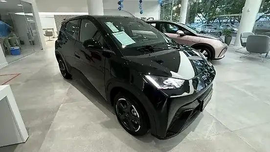 Foto de um byd dolphin mini