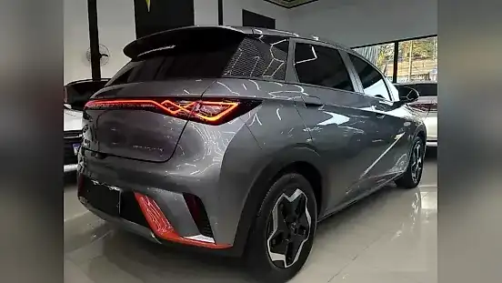 Foto de um byd dolphin