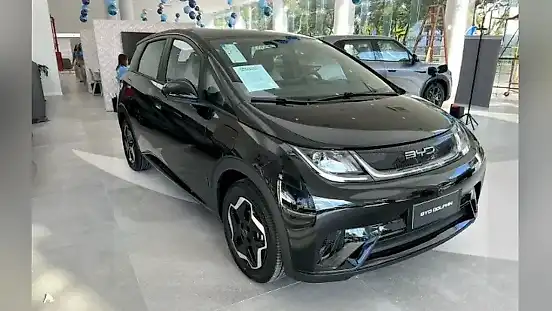 Foto de um byd dolphin