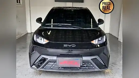 Foto de um byd dolphin mini