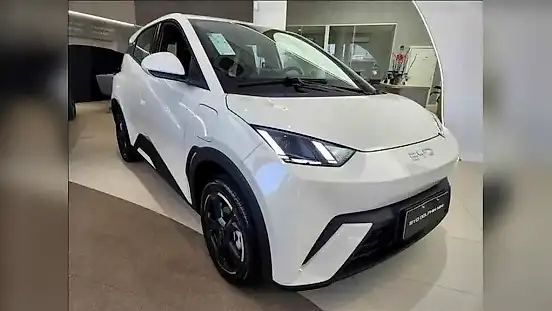 Foto de um byd dolphin mini