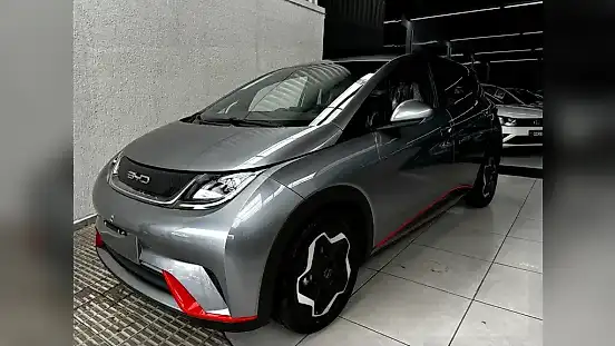 Foto de um byd dolphin