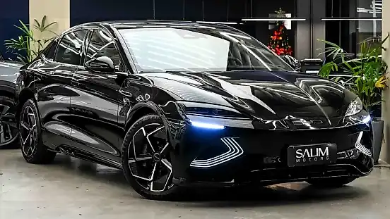 Foto de um byd seal