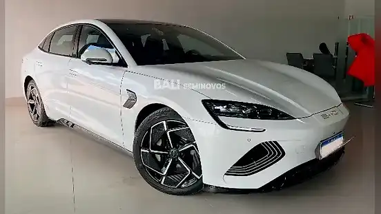 Foto de um byd seal