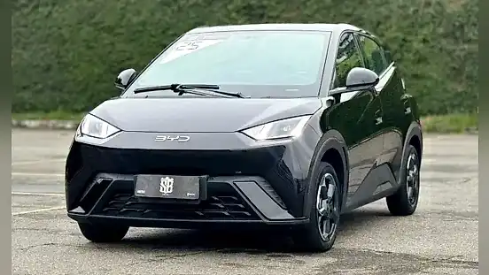 Foto de um byd dolphin mini