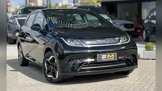 Foto de um byd dolphin