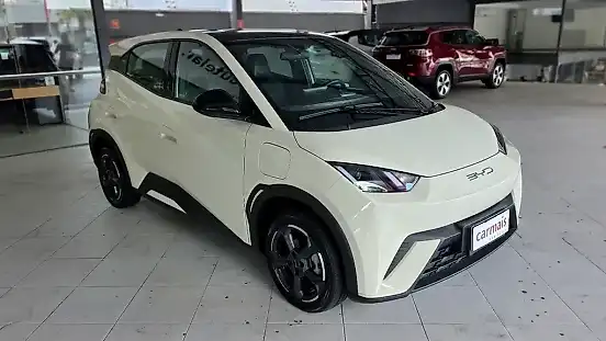 Foto de um byd dolphin mini