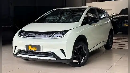 Foto de um byd dolphin