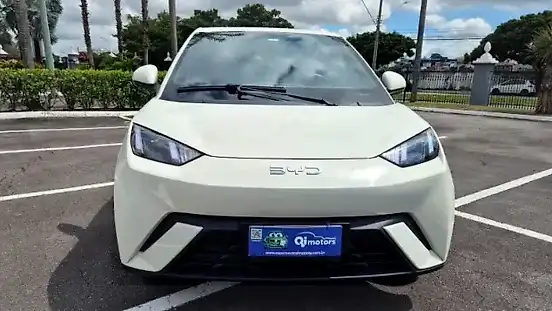 Foto de um byd dolphin mini
