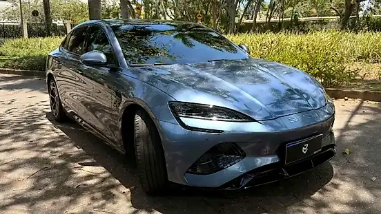 Foto de um byd seal