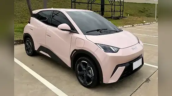 Foto de um byd dolphin mini