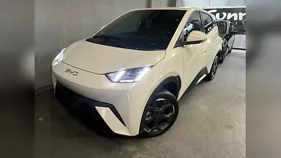 Foto de um byd dolphin mini