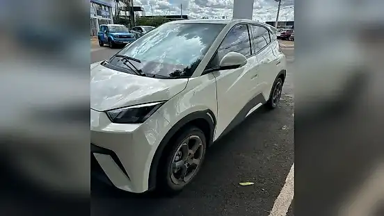 Foto de um byd dolphin mini