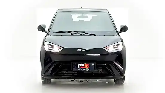 Foto de um byd dolphin mini