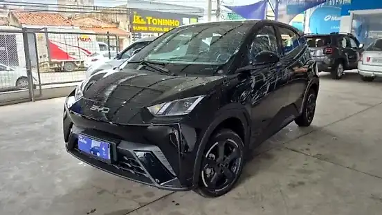 Foto de um byd dolphin mini