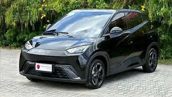 Foto de um byd dolphin mini