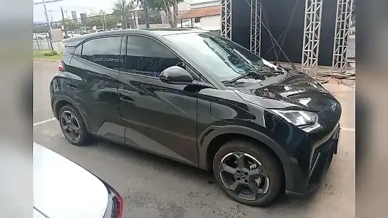 Foto de um byd dolphin mini