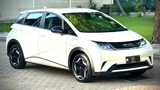 Foto de um byd dolphin