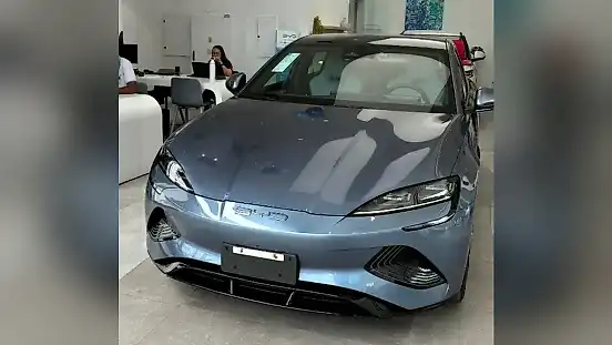 Foto de um byd seal