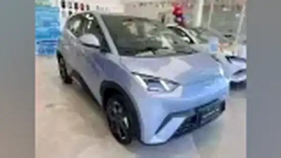 Foto de um byd dolphin mini