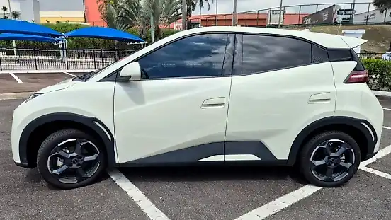 Foto de um byd dolphin mini