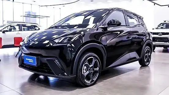 Foto de um byd dolphin mini