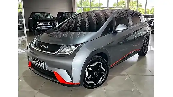 Foto de um byd dolphin