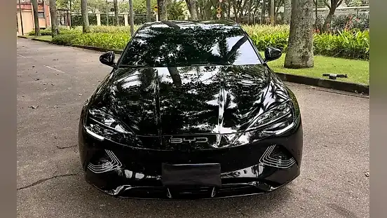 Foto de um byd seal