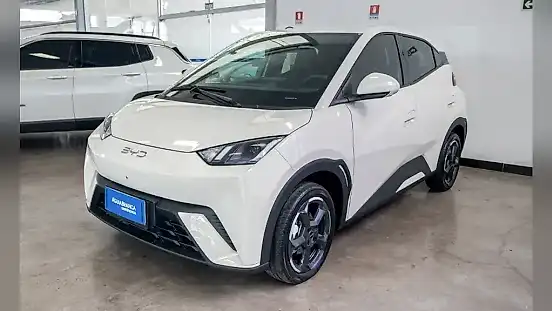 Foto de um byd dolphin mini
