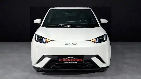 Foto de um byd dolphin mini