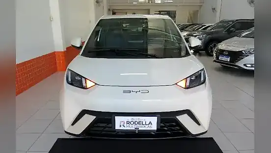 Foto de um byd dolphin mini
