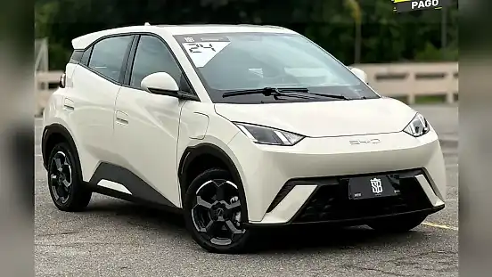 Foto de um byd dolphin
