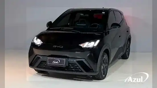 Foto de um byd dolphin mini