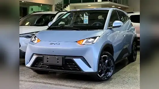 Foto de um byd dolphin mini