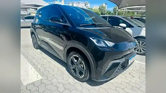 Foto de um byd dolphin mini