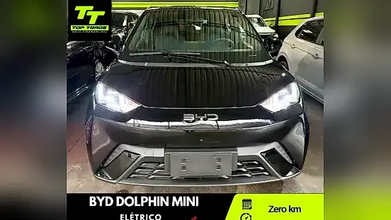 Foto de um byd dolphin mini
